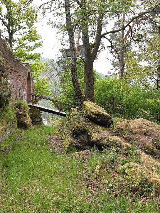Jule * Thaleischweiler-Froschen